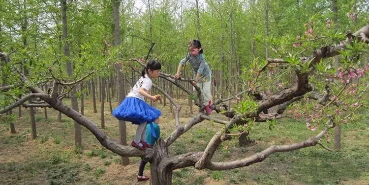 孩子自由.jpg